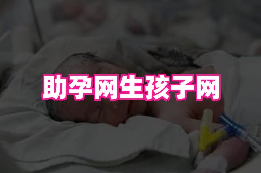gfg孕网 1