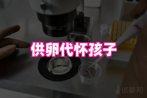 gfg孕网 4